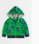Green Alligator Boy Hoodie Jacket