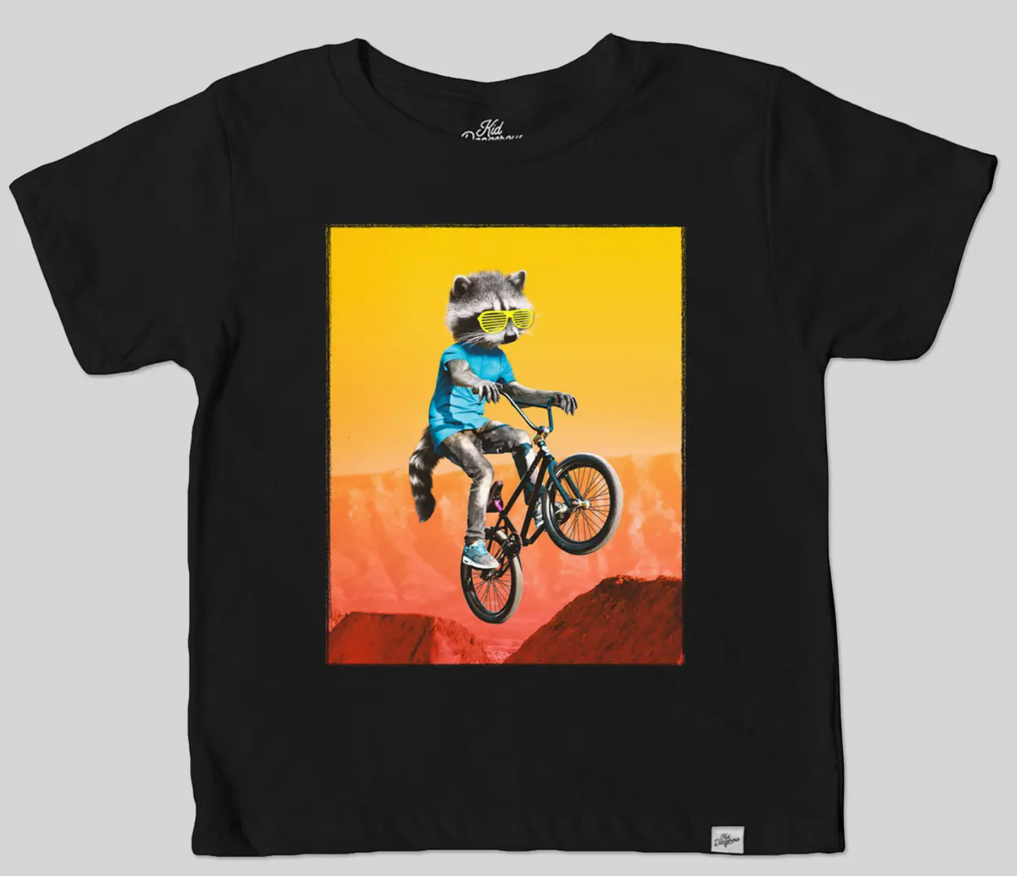 Kids Biking Raccoon T-Shirt Animal Graphic Tee | 6/7