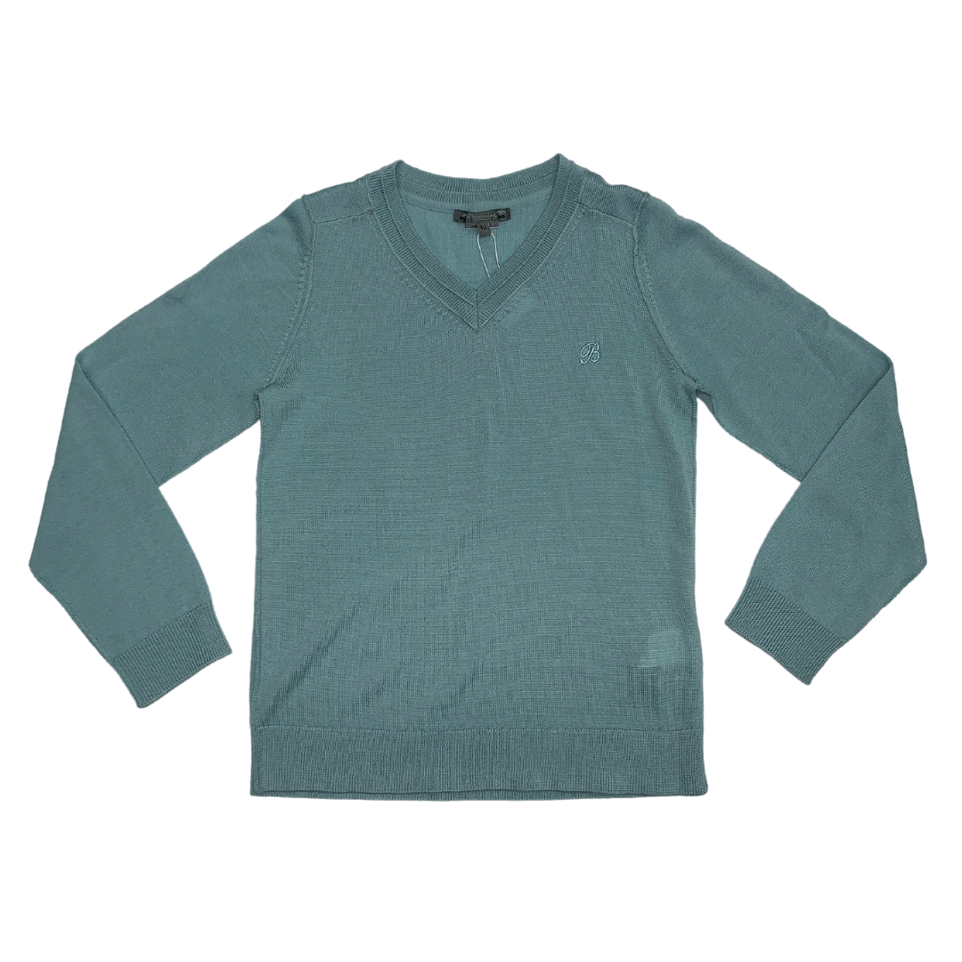 BASIC V-NECK SWEATER