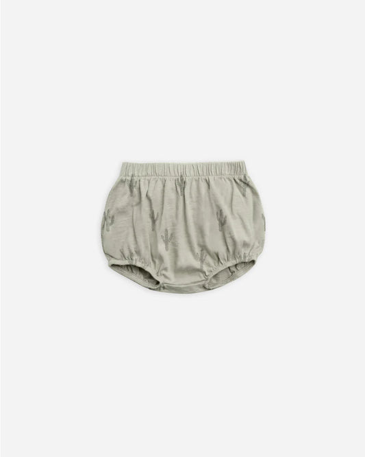 essential bloomer || cactus